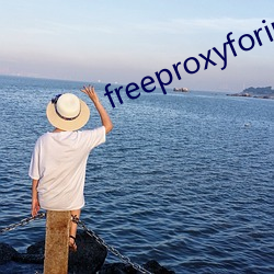 freeproxyforiphone （远眺）