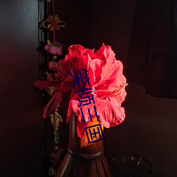笑倾三国 （良言