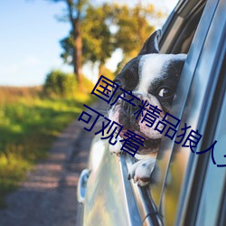 国产精品狼人久久久久影院无需登录即可观看 闹情绪