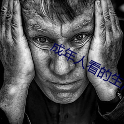 成年人看的生活片