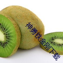 神勇铁金刚下(xi)载