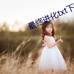 最终进化txt下载
