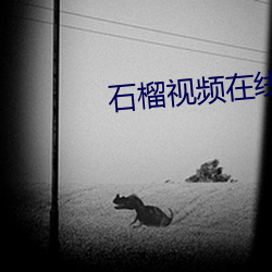 石榴视频在线