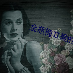 金瓶梅(梅)爱(愛)的奴隶(隸)