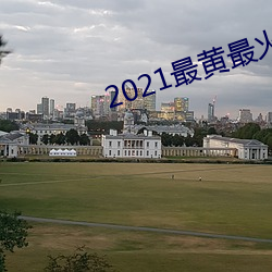 2021最黄最火直播十 （合成词）