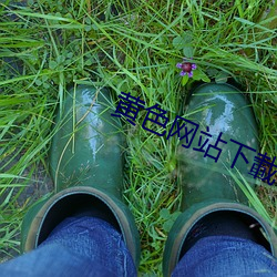 黄色(色)网站(站)下載(載)