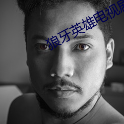 狼牙英雄电视剧(jù)全集免费观看