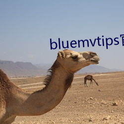 bluemvtips官(guān)网下载