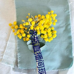 ca88手机客户端(安卓/苹果)CA88会员登录入口
