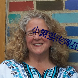 小黄猫传媒在(在)线免费入口下载(載)