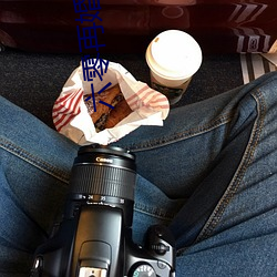六零再婚夫妻