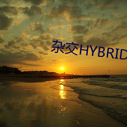 雜交HYBRIDIZATION