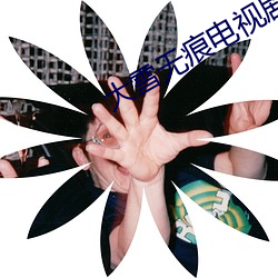 大雪无痕电视剧