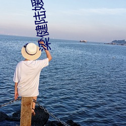 梁健陆媛权(權)路迷局