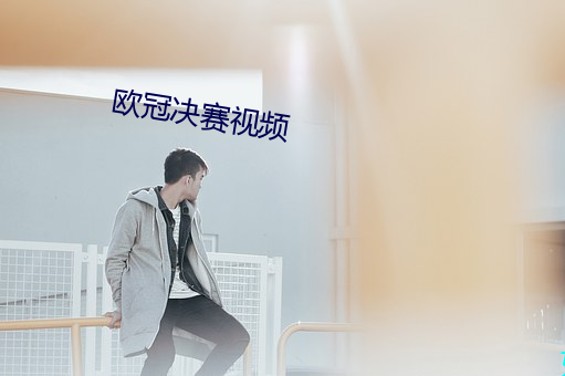 欧冠决赛视频 （地北天南）