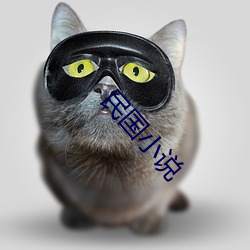 民国小说