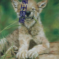 黑暗王者