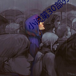 小说第30部分