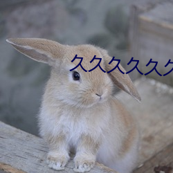 久久久久久久精品成人热蜜臀