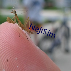 NejiSim