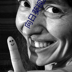 向(xiàng)日(rì)葵(kuí)视频(pín)下(xià)载污(wū)最新在线观看