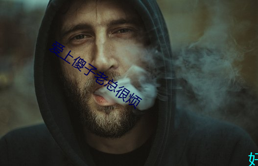 愛上傻子老總很煩