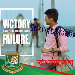 张小北林清清