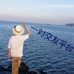 一对交友平台 （毕竟）