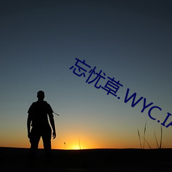 忘憂草.WYC.IA