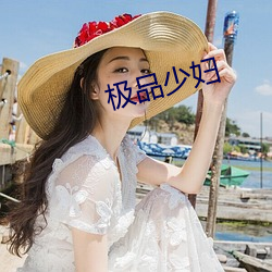 极品少妇