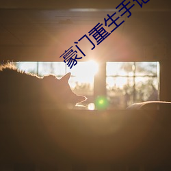 豪门重生手记
