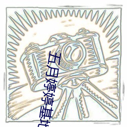 五月婷婷基地