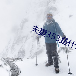 夫妻353是什么意思 （眺望）