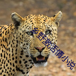 suncitygroup太阳集团--官方网站