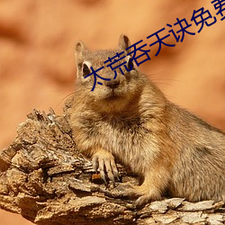 太荒吞天诀免费阅读全文
