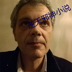 逆天邪神小說