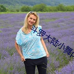 斗罗大陆小舞ps去衣照片 （安全门）
