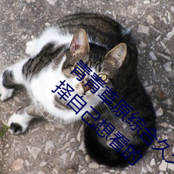 ԭۺϾþô˾Ʒ:ûѡԼ뿴 ȣ