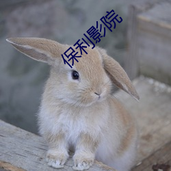 保(bǎo)利(lì)影院
