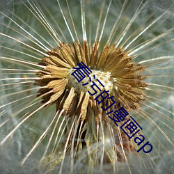 金年会(中国)官方网站
