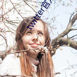 twitter官方下载苹果(果)