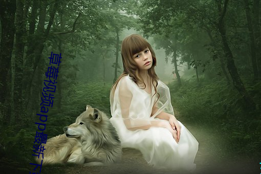 草莓视频app最新下载