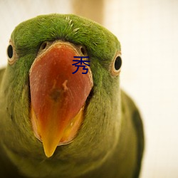 秀