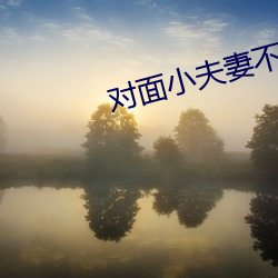 对(對)面(面)小夫妻(妻)不(不)拉窗(窗)帘