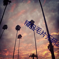 凯时国际·(中国)娱乐官方网站