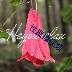 性直播视频