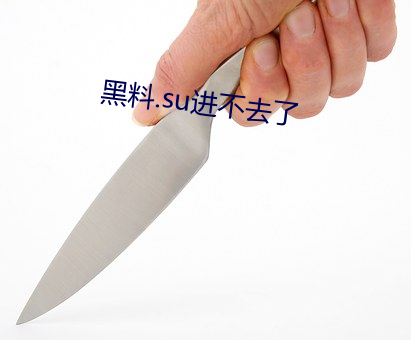 黑料.su進不去了