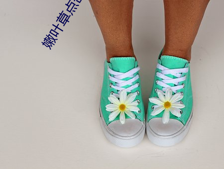 嫩(嫩)叶草点(點)击进入