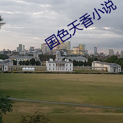 国色天香小说 （心胆俱碎）