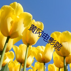 黄冈电影院